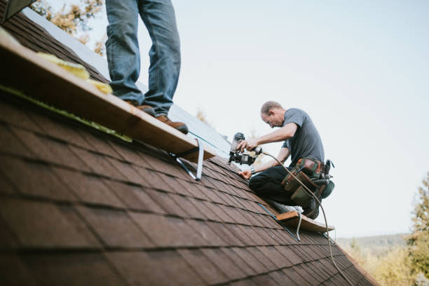 Best Roof Repair Specialists  in Funny River, AK